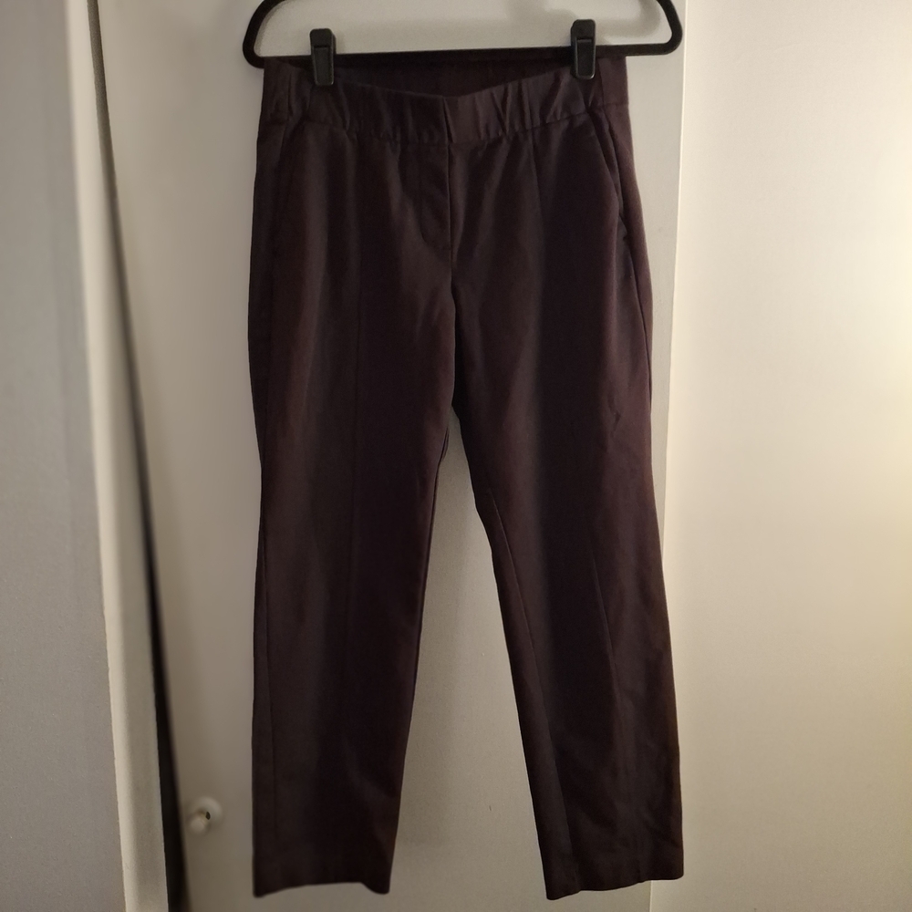 J. Jill Women's Plum Colored Slim Leg Pants